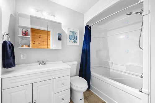 Salle de bains - 384 Ch. Du Lac-De-La-Truite, Mansfield-Et-Pontefract, QC - Indoor Photo Showing Bathroom