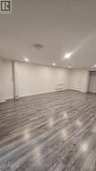 Lower level Living/dining room - 