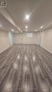 Lower level living/dining room - 