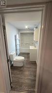 Lower level bathroom - 