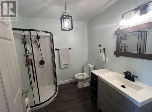 29 Vankoughnet  St. E., Little Current, ON - Indoor Photo Showing Bathroom