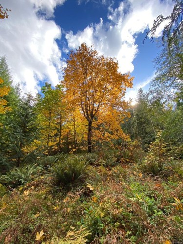 1571 Meadowood Way, Qualicum Beach, BC 