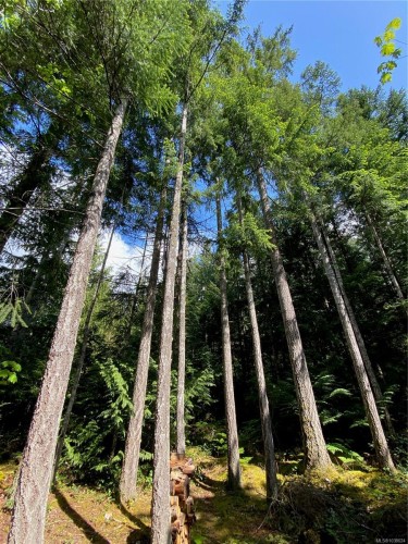 1571 Meadowood Way, Qualicum Beach, BC 