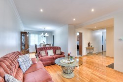 Salon - 