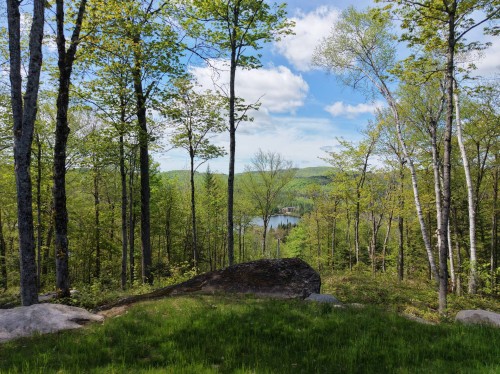 Vue - 207Z Mtée Du Val-De-Loire, Saint-Adolphe-D'Howard, QC - Outdoor With View