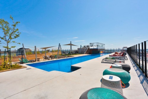 Piscine - 708-198 Rue Ann, Montréal (Le Sud-Ouest), QC - Outdoor With In Ground Pool With Backyard
