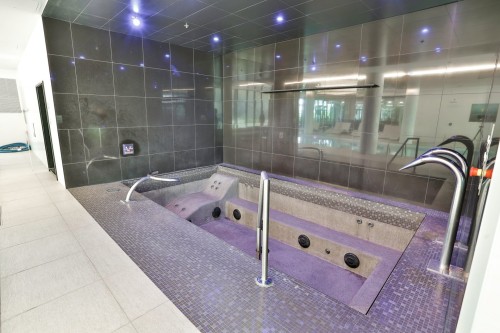 Spa - 708-198 Rue Ann, Montréal (Le Sud-Ouest), QC - Indoor Photo Showing Bathroom