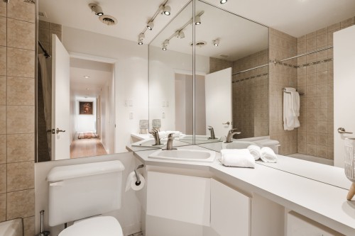 Bathroom - 1495 Rue Des Alouettes, Saint-Bruno-De-Montarville, QC - Indoor Photo Showing Bathroom