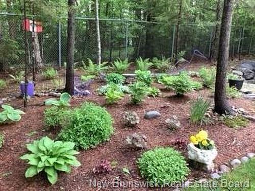 412 Hampton Rd, Quispamsis, NB 