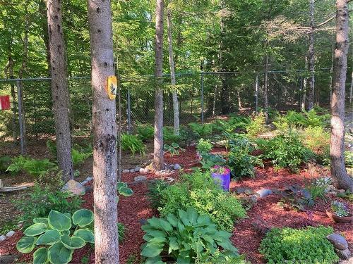 412 Hampton Rd, Quispamsis, NB 