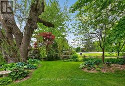expansive gardens - 