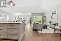 Kitchen island & living room - 