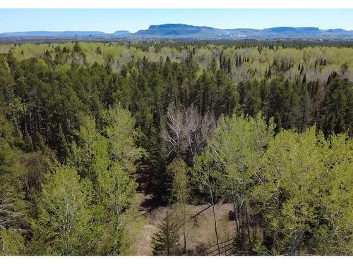313 Wappner Rd, Thunder Bay, ON 