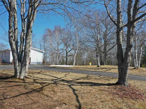 73 Westview Drive, Mount William, NS 
