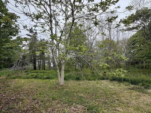 8721 Highway 101, Brighton, NS 