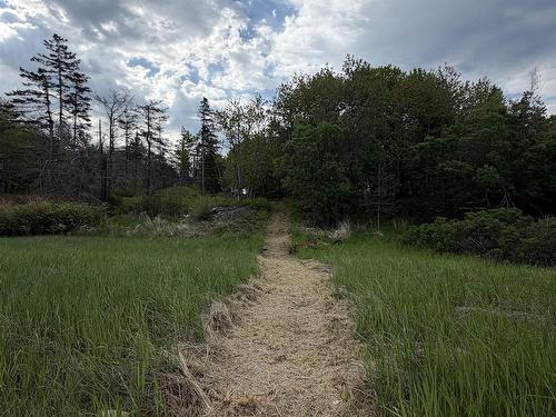 8721 Highway 101, Brighton, NS 