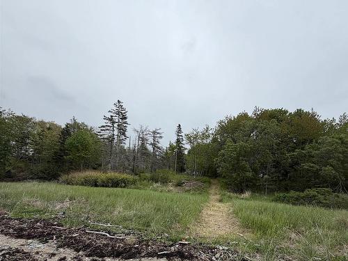 8721 Highway 101, Brighton, NS 