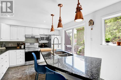 7 Academy Private, Ottawa, ON - Indoor Photo Showing Kitchen With Double Sink