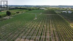 3920 GREENLANE ROAD  Lincoln, ON L0R 1B1