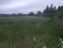 Part Sec 1 Westholme Rd, Westholme, BC 