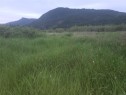 Part Sec 1 Westholme Rd, Westholme, BC 