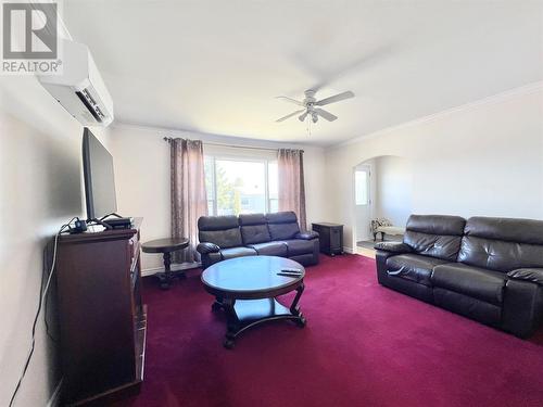 11 Fourth Avenue, Badger, NL - Indoor Photo Showing Living Room
