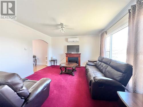 11 Fourth Avenue, Badger, NL - Indoor Photo Showing Living Room With Fireplace