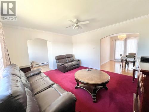 11 Fourth Avenue, Badger, NL - Indoor Photo Showing Living Room