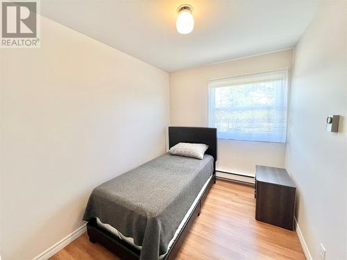 11 Fourth Avenue, Badger, NL - Indoor Photo Showing Bedroom