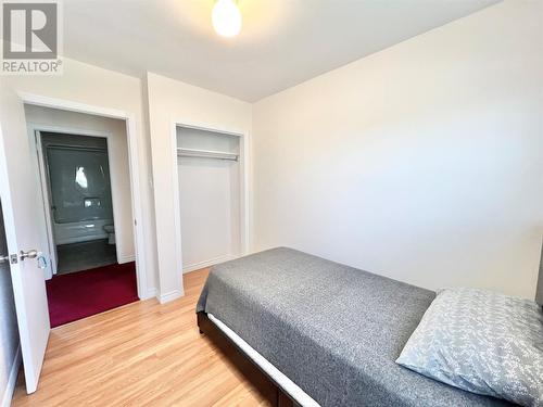 11 Fourth Avenue, Badger, NL - Indoor Photo Showing Bedroom