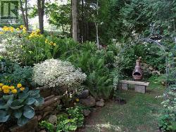 Summer Image - 
