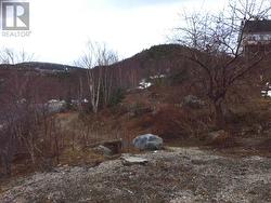 0 Gale Street Corner Brook, NL A2H 5R5