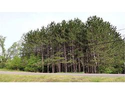VACANT LOT 74-1A CAPE BRETON RD RD Irishtown, NB E4P 1V8