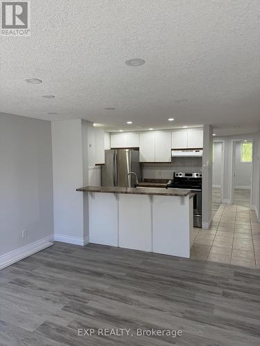 45 Cedar Hill Crescent, Kitchener, ON - Indoor Photo Showing Kitchen