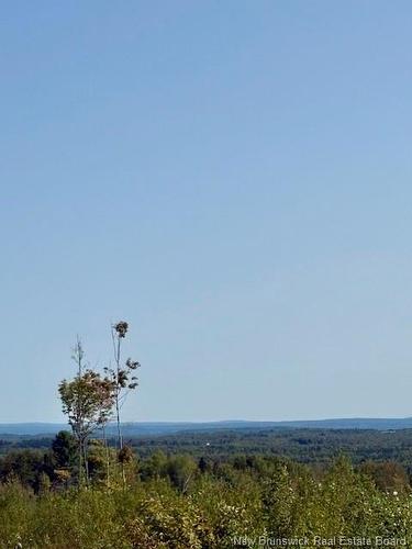 165 Green Rd, Richmond, NB 