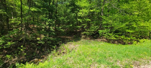 Terre/Terrain - 56 Ch. Du Mica, Val-Des-Monts, QC 