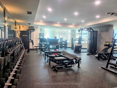 1703-373 Front Street W, Toronto, ON - Indoor Photo Showing Gym Room