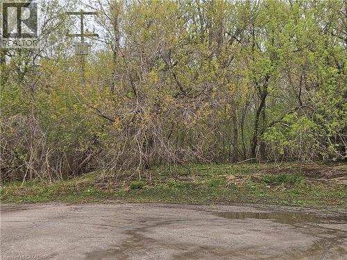 152 Homewood Avenue, Kitchener, ON - Outdoor With View