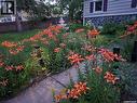 303 Edward Street, Radisson, SK  - Outdoor 