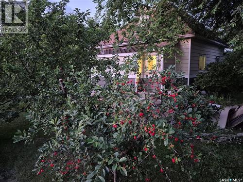 303 Edward Street, Radisson, SK - Outdoor