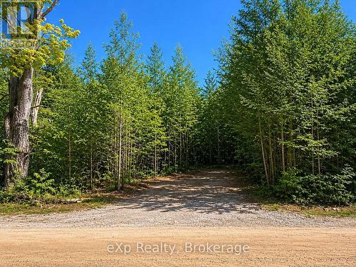 Driveway that has been started - Pt Lt 12 Concession 14, West Grey, ON 