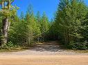 Driveway that has been started - Pt Lt 12 Concession 14, West Grey, ON 