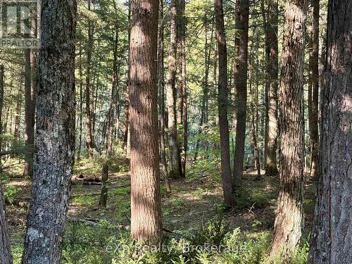 1080 Milne Road, Bracebridge (Oakley), ON - Outdoor With View