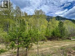Highway 6 Lot# 2 Passmore, BC V0G 2E0
