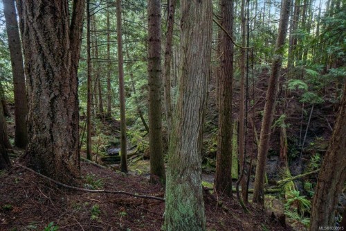 324 Chester Rd, Qualicum Beach, BC 