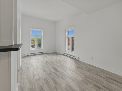 Overall view - A-2005 Av. Papineau, Montréal (Ville-Marie), QC - Indoor Photo Showing Other Room
