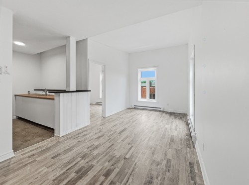 Overall view - A-2005 Av. Papineau, Montréal (Ville-Marie), QC - Indoor Photo Showing Other Room