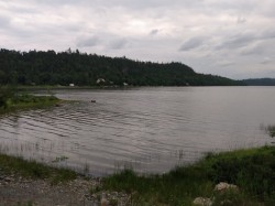 Vue sur l'eau - 