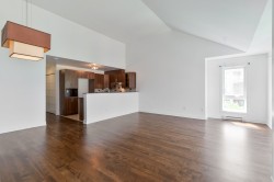 Salon - 