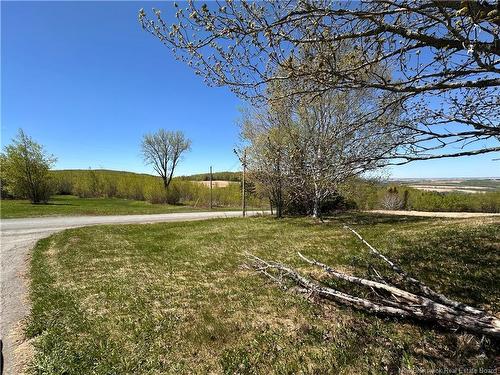 233 Hilldale Rd, New Denmark, NB 